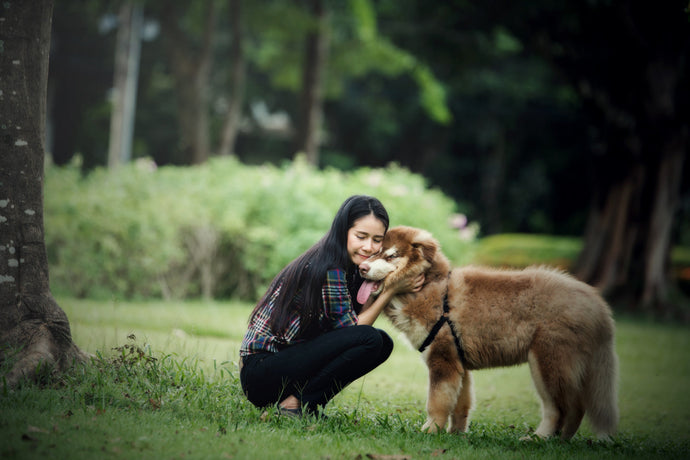 Beyond Tail Wags: The Emotional Lives of Our Pets
