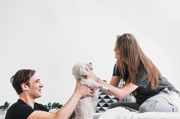 Why Pets Are Our Emotional Mirrors — And What They Can Teach Us About Ourselves