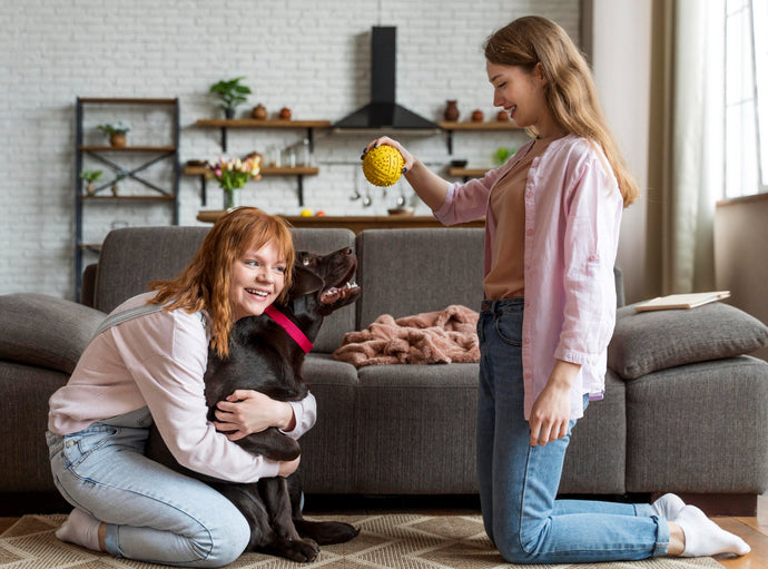 Helping Your Pet Adjust to a Sitter and Avoid Separation Anxiety