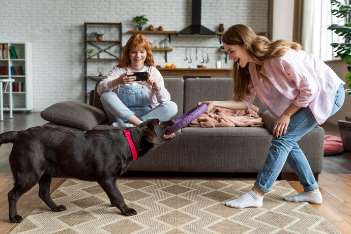 Helping Your Pet Adjust to a Sitter and Stay Calm While You’re Away