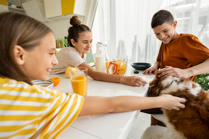 Top 8 Home Essentials to Keep Your Pet Happy & Healthy (and Why We Love Them)