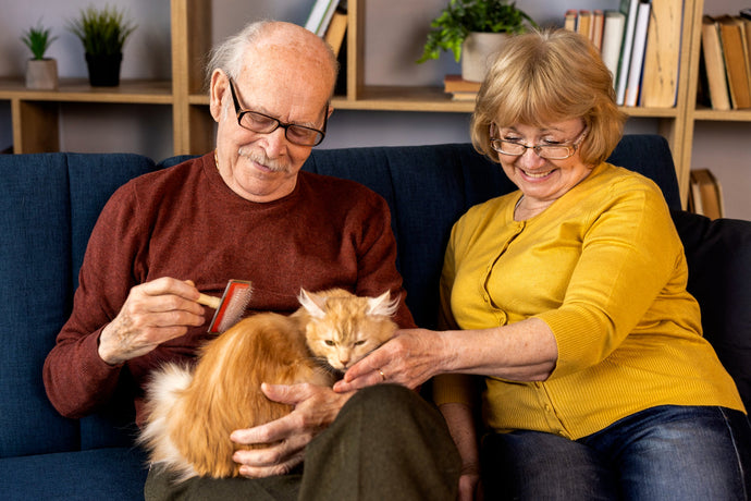 Caring for Senior Pets: Keeping Their Golden Years Truly Golden