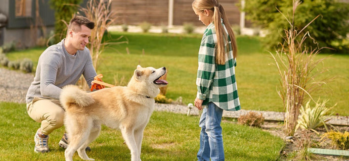 The Importance of Pet Mental Health,  and How to Actually Help Your Furball