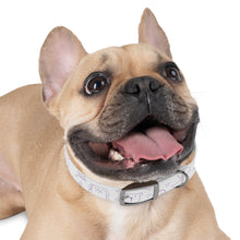 Charger l&#39;image dans la galerie, Dog Collar
