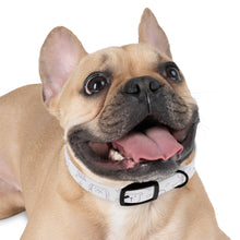 Charger l&#39;image dans la galerie, Dog Collar
