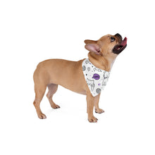 Charger l&#39;image dans la galerie, Pet Bandana
